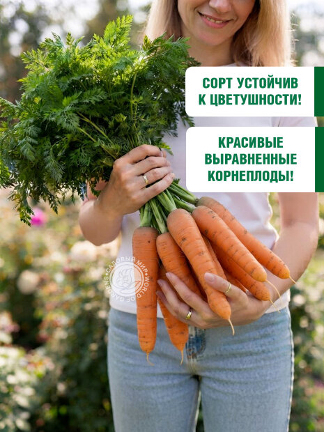 Морковь драже Королева осени семена 