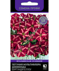 Петуния мультифлора Джоконда Бургунди Еллоу (ПРОФИ)