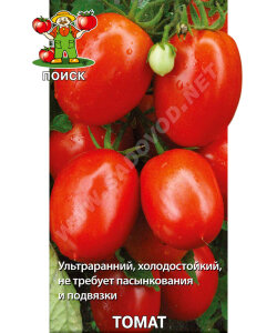 Томат Челнок