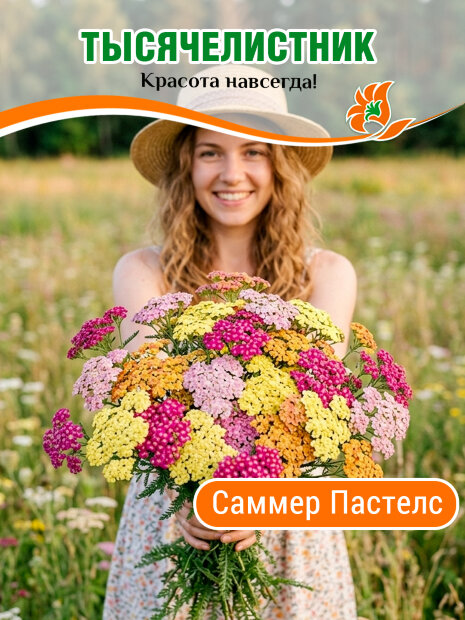 Тысячелистник обыкновенный Саммер Пастелс