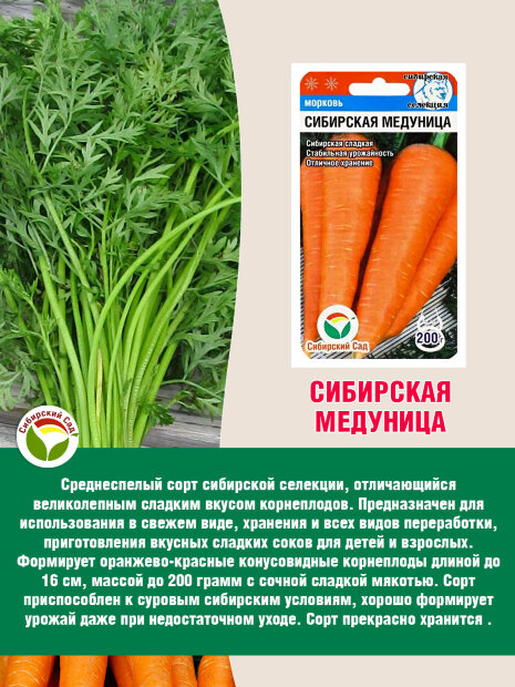 Морковь Сибирская Медуница семена 