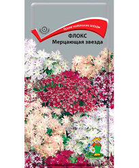 Флокс Мерцающая Звезда