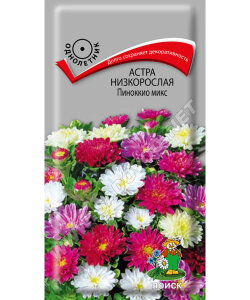 Астра низкорослая. Пиноккио микс Астра низкорослая. Пиноккио микс