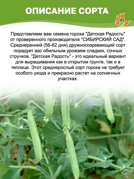 Горох Детская радость семена 