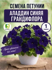 Петуния грандифлора Аладдин Синяя (ПРОФИ)