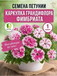 Петуния грандифлора фимбриата Каркулка