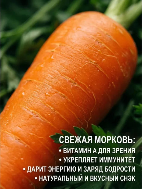 Морковь на ленте Витаминная 6 семена 
