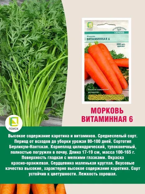 Морковь драже Витаминная 6 семена 